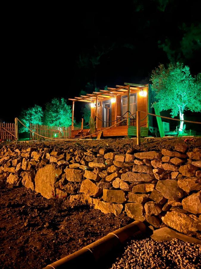 Tiny Mini House Hotel Dalaman Bagian luar foto