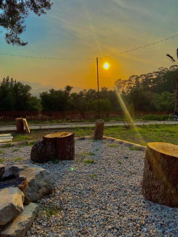 Tiny Mini House Hotel Dalaman Bagian luar foto
