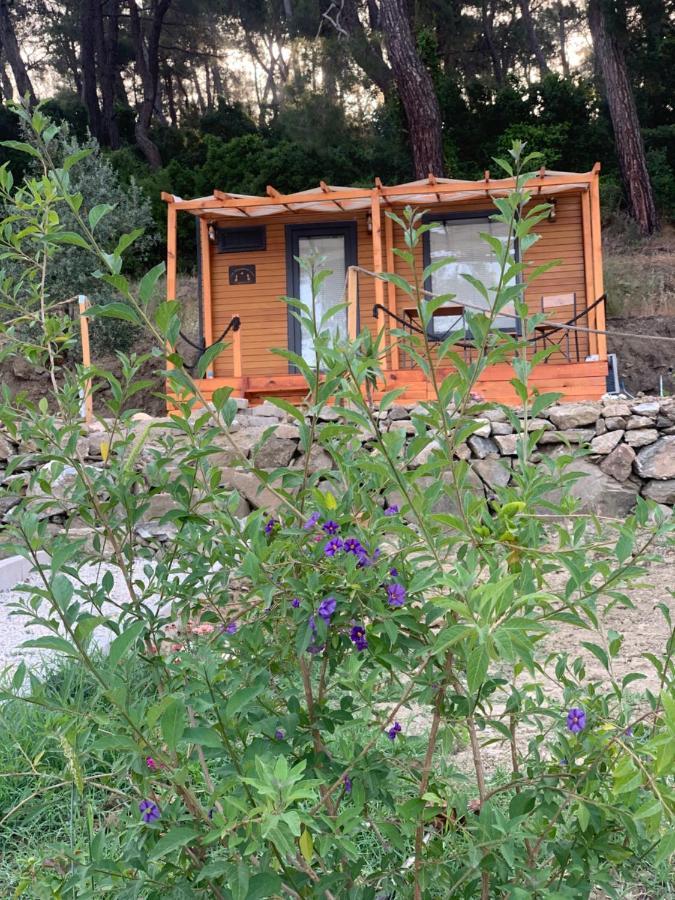 Tiny Mini House Hotel Dalaman Bagian luar foto
