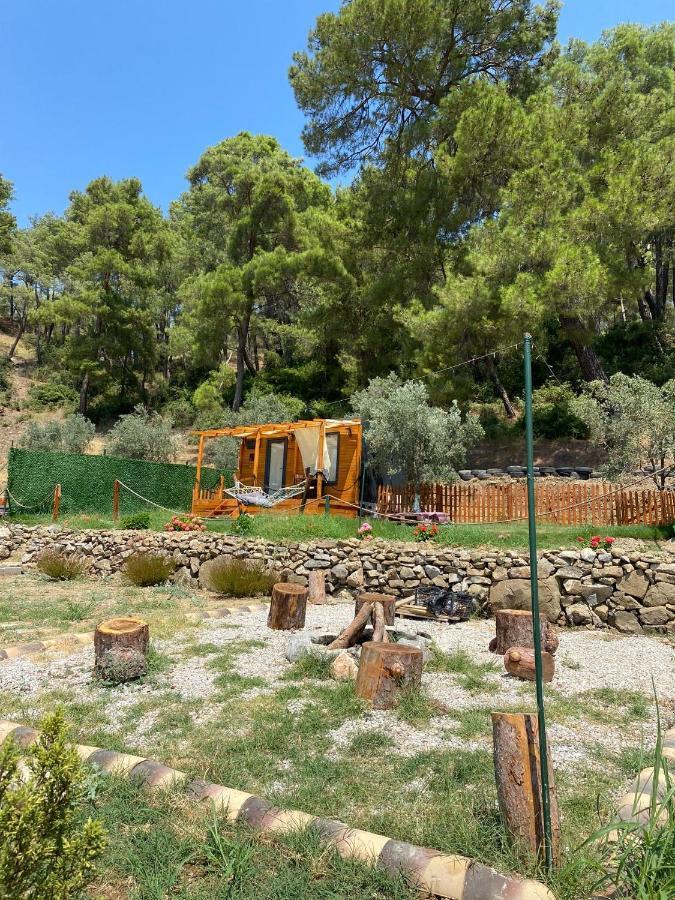 Tiny Mini House Hotel Dalaman Bagian luar foto