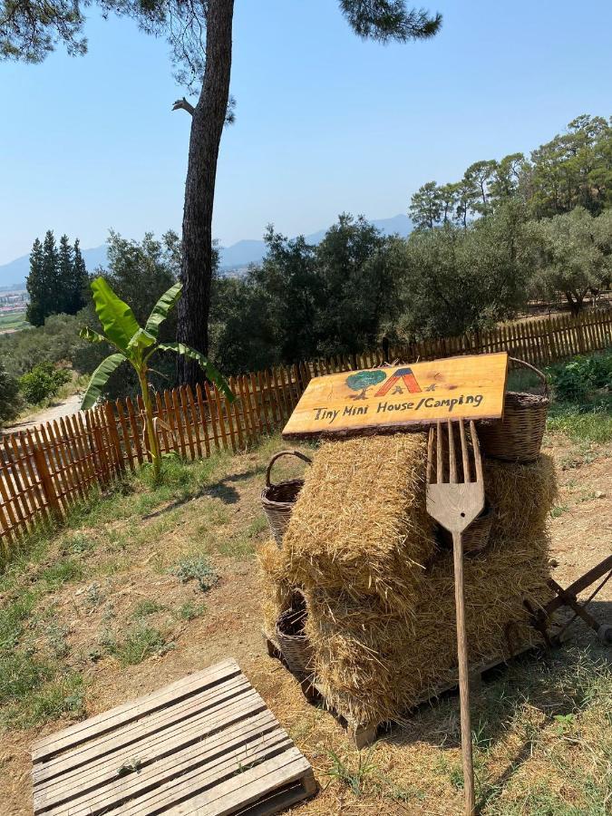 Tiny Mini House Hotel Dalaman Bagian luar foto