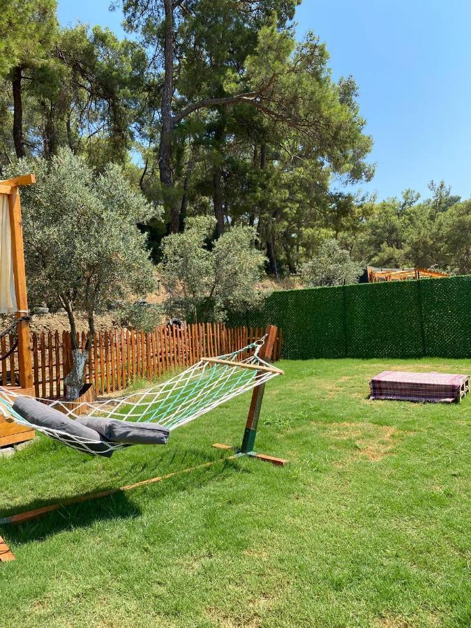 Tiny Mini House Hotel Dalaman Bagian luar foto